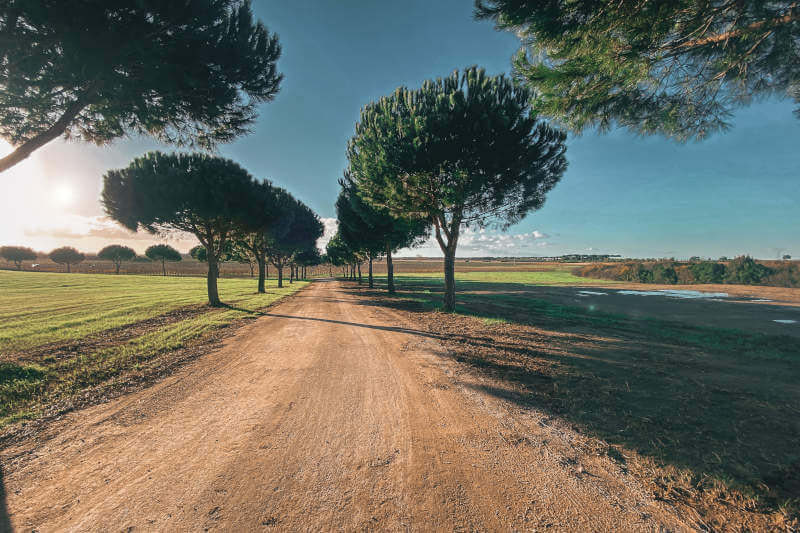 Azienda Green Ways
