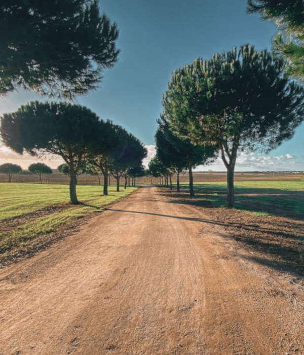Soluzioni_Green_ways