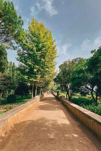 08. Green Ways - Stabilizzazione delle terre