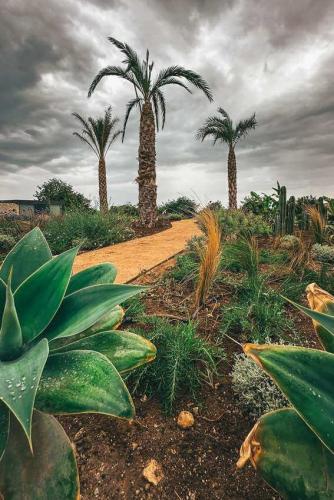 29. Green Ways - Stabilizzazione delle terre