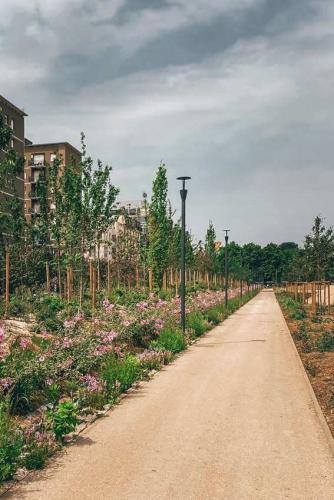 35. Green Ways - Stabilizzazione delle terre