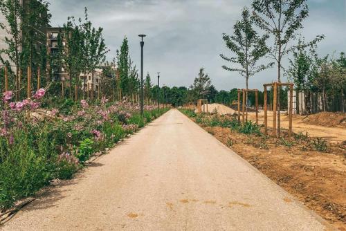36. Green Ways - Stabilizzazione delle terre