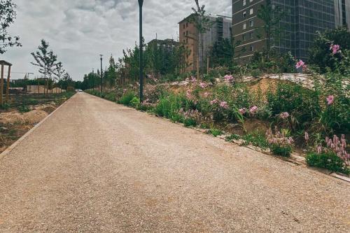 38. Green Ways - Stabilizzazione delle terre