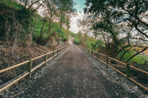54. Green Ways - Stabilizzazione delle terre