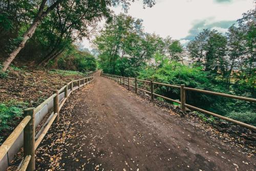 56. Green Ways - Stabilizzazione delle terre