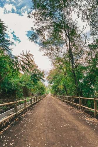 57. Green Ways - Stabilizzazione delle terre