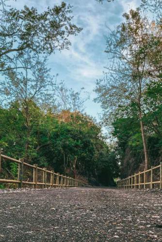 58. Green Ways - Stabilizzazione delle terre