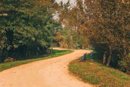 62. Green Ways - Stabilizzazione delle terre