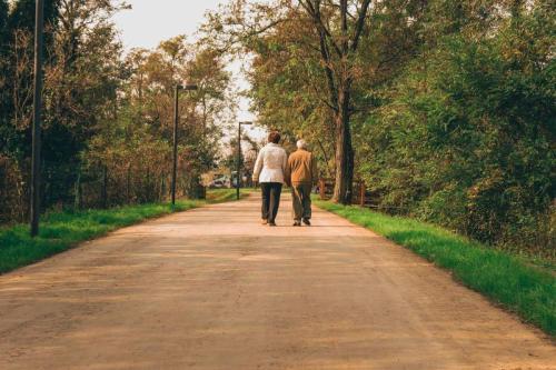 63. Green Ways - Stabilizzazione delle terre