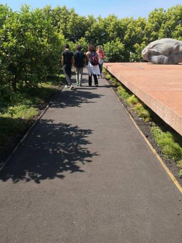 74. Green Ways - Stabilizzazione delle terre