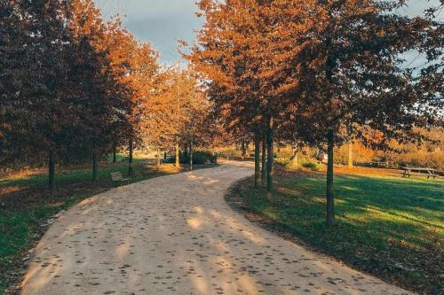 13.-Green-Ways-Stabilizzazione-delle-terre
