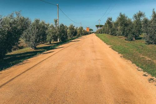 15.-Green-Ways-Stabilizzazione-delle-terre