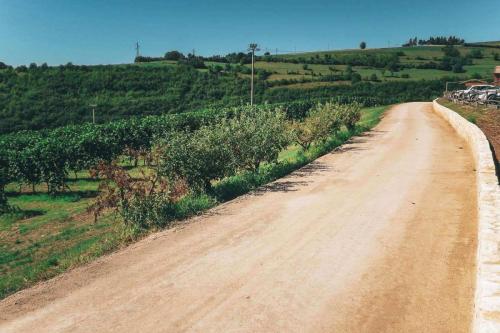 18.-Green-Ways-Stabilizzazione-delle-terre