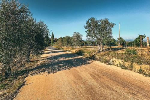 21.-Green-Ways-Stabilizzazione-delle-terre