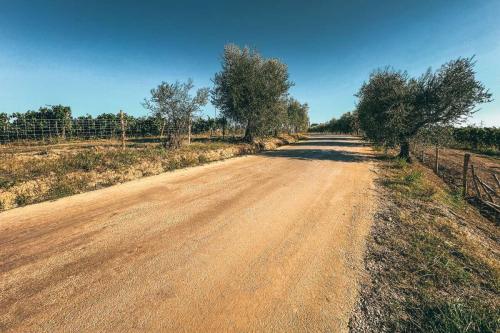 22.-Green-Ways-Stabilizzazione-delle-terre