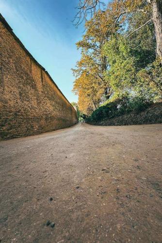 23.-Green-Ways-Stabilizzazione-delle-terre