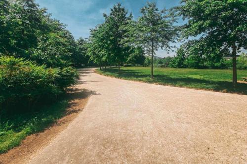 34.-Green-Ways-Stabilizzazione-delle-terre