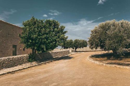 41.-Green-Ways-Stabilizzazione-delle-terre