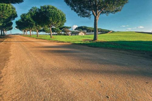 64.-Green-Ways-Stabilizzazione-delle-terre