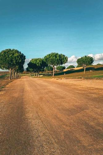 65.-Green-Ways-Stabilizzazione-delle-terre